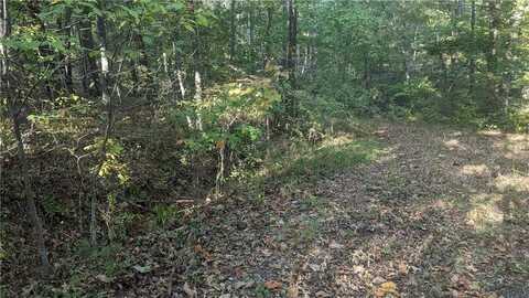 Pamela LN, Bella Vista, AR 72715