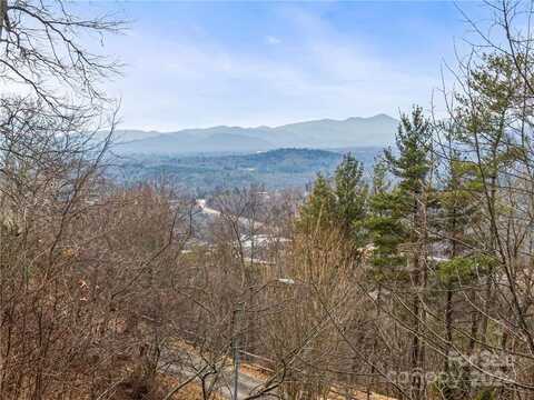 9999 Secluded Forest Drive, Asheville, NC 28804