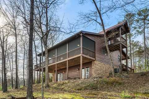 681 The Woods, Mineral Bluff, GA 30559