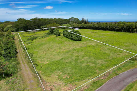 Olaa Homestead Reservation Lots, Kurtistown, HI 96760