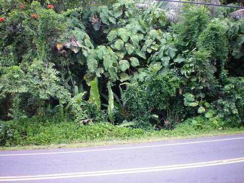 Kawakawa St, Pahoa, HI 96778