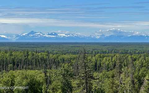 Bearberry Street, Kenai, AK 99611