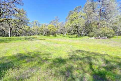 Acres - Five Oaks Way, Greenwood, CA 95635