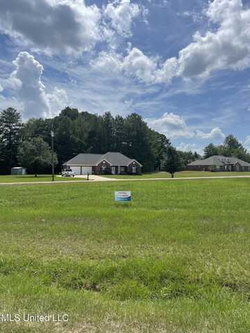 Chessie Lane, Carthage, MS 39051