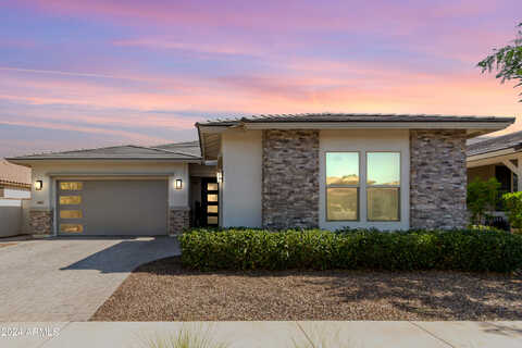 Larkspur, SURPRISE, AZ 85379