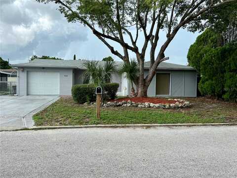 Ironbark, PORT RICHEY, FL 34668