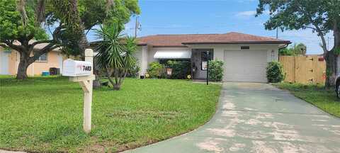 Tangelo, PORT RICHEY, FL 34668