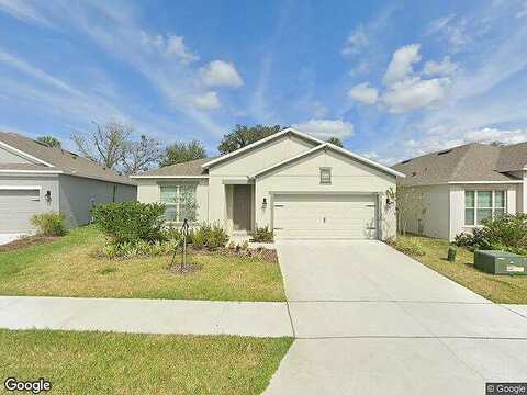 Timber Hawk, OCOEE, FL 34761