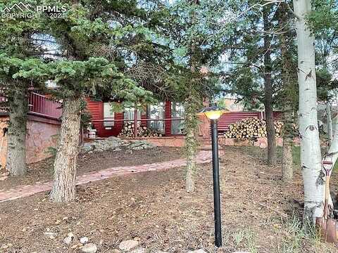 Brook, LAKE GEORGE, CO 80827