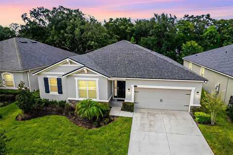 Blue Woods, RIVERVIEW, FL 33569