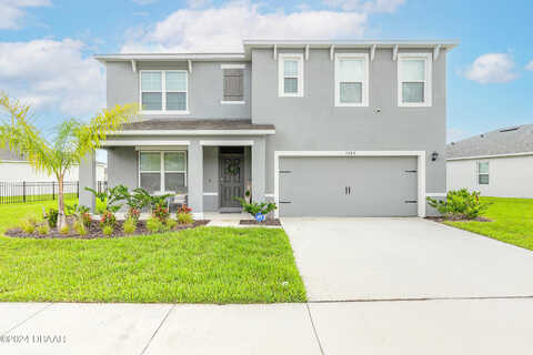 Carpentaria, NEW SMYRNA BEACH, FL 32168