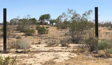 Pearblossom, LLANO, CA 93544