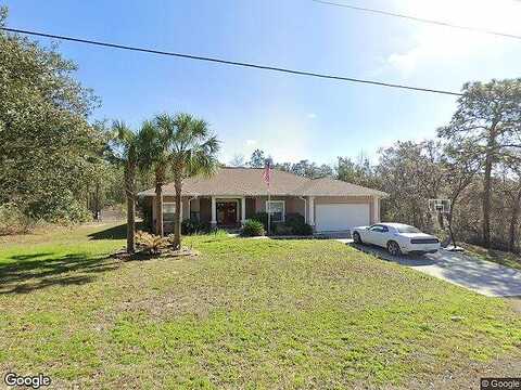 Hawk, BROOKSVILLE, FL 34614