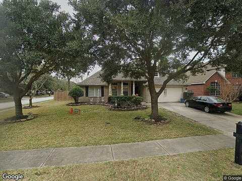 Tree Moss, HUMBLE, TX 77346