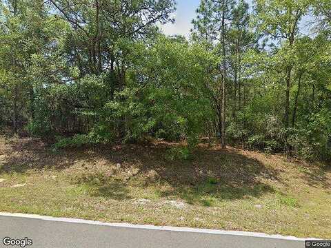 Delmane, CITRUS SPRINGS, FL 34434