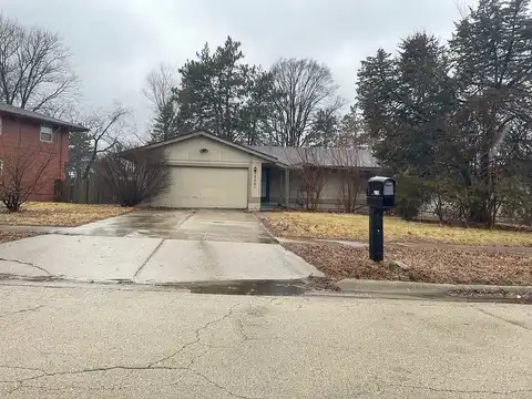 Foliage, ROCKFORD, IL 61109