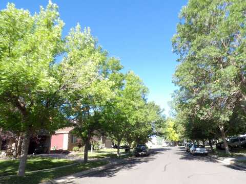 Goshawk, BRIGHTON, CO 80601