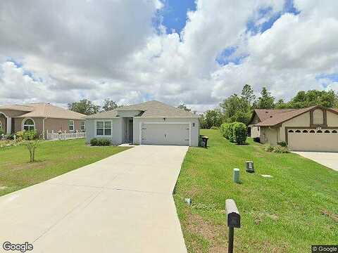 Basil, KISSIMMEE, FL 34759