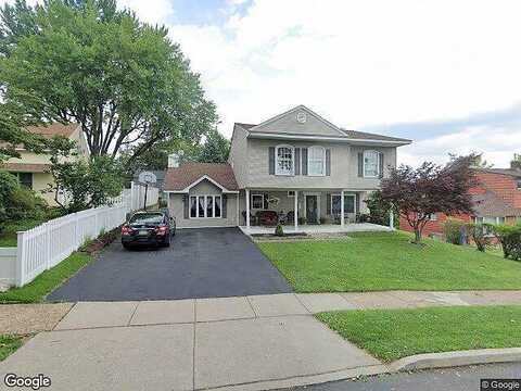 Ailanthus, LEVITTOWN, PA 19055