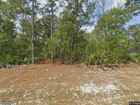 Summerfield, CITRUS SPRINGS, FL 34434