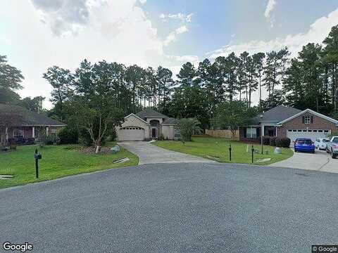 Purple Martin, CRAWFORDVILLE, FL 32327