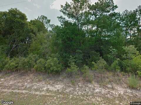 Darby, CITRUS SPRINGS, FL 34433