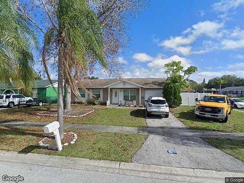 Smoketree, LARGO, FL 33773