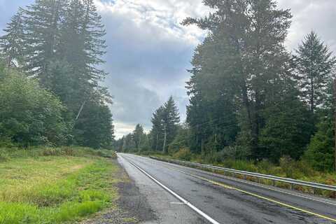 Us Highway 12, RANDLE, WA 98377