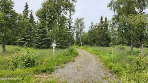 60522 Jannys Avenue, Clam Gulch, AK 99568