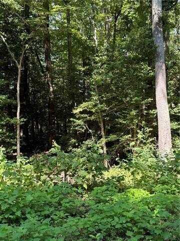 Lot 13 Cod Creek Drive, Heathsville, VA 22473