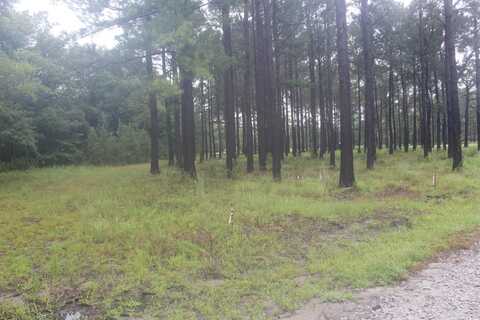 TBD Woodrow Ln., Loris, SC 29569