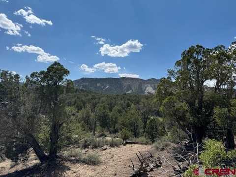 2519 Green Shadows Road, Durango, CO 81303