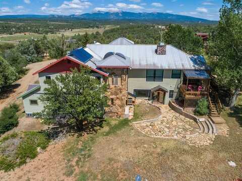 11555 Road 39, Mancos, CO 81328