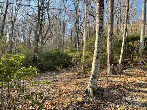 0 E Poplar Lane, Hendersonville, NC 28792