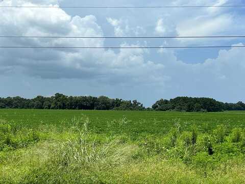 76.47+-ac Eddins Rd, Dothan, AL 36301
