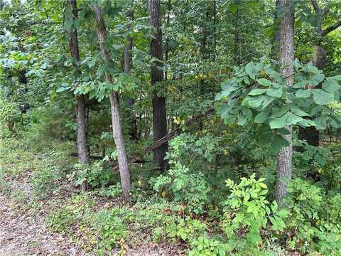 lot 12 BLK 12 Shanklin DR, Bella Vista, AR 72715