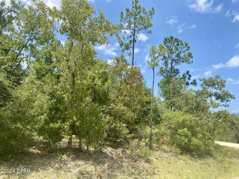 Lot 13 Noble Circle, Alford, FL 32420