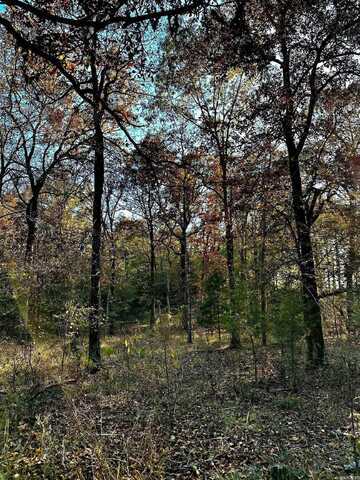 Tract 2 TBD Easement Road, Cove, AR 71937