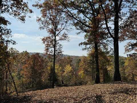 4569 Rose Trail, Melbourne, AR 72556