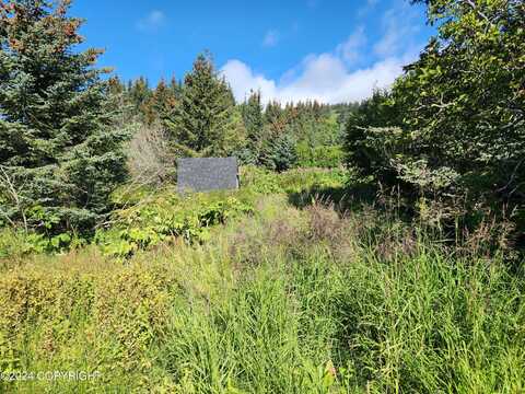 1780 Sterling Highway, Homer, AK 99603