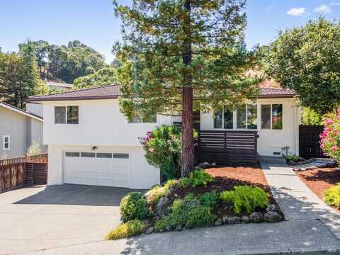 46 Elda Drive, San Rafael, CA 94903