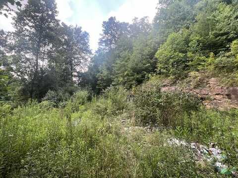 115 MEMORY LANE, WELCH, WV 24801