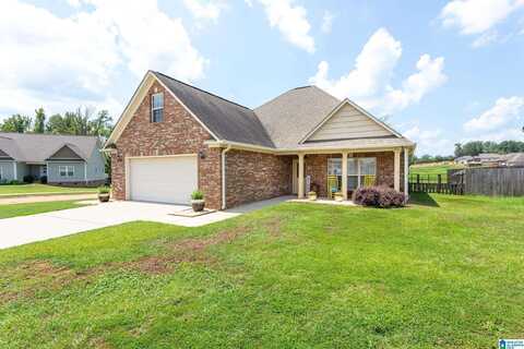 328 TAYLORS FARM DRIVE, LINCOLN, AL 35096