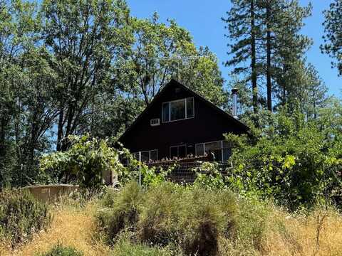 6353 Blue Mountain Road, Wilseyville, CA 95257