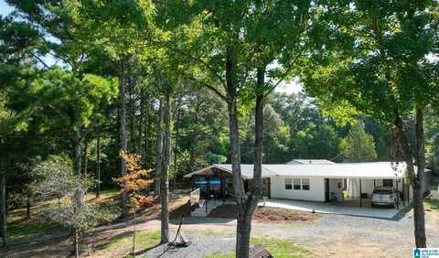 2516 RED VALLEY ROAD, REMLAP, AL 35133