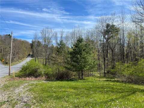 Lot#27.2 Bida Road, New Berlin, NY 13843