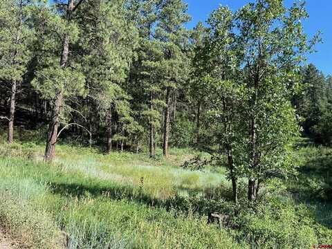 916A Easy Street, Pagosa Springs, CO 81147