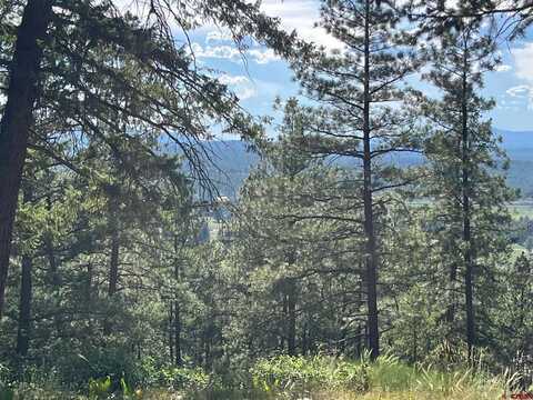 916B Easy Street, Pagosa Springs, CO 81147