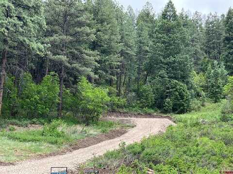 916B Easy Street, Pagosa Springs, CO 81147