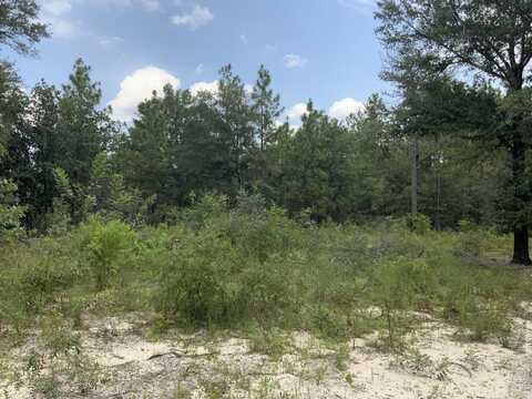 000 Matilda Lane, DeFuniak Springs, FL 32433